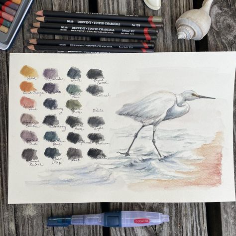 Watercolour And Charcoal, Derwent Inktense Art, Graphitint Art, Derwent Graphitint Art, Tinted Charcoal Drawings, Derwent Graphitint, Graphite Watercolor, Inktense Pencils Art, Charcoal Color Palette