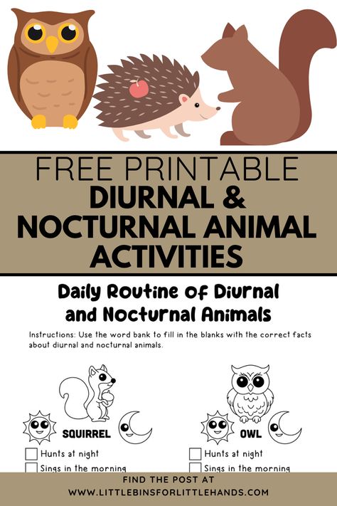 Check out these free printable diurnal and nocturnal animal activities for kids. Fall is the perfect time to teach kids about diurnal and nocturnal animals. Learn all about the differences with our free printable worksheets. Night Animals Activities, Nocturnal Animals Preschool, Nocturnal Animals Activities, Diurnal Animals, Fall Science, Animal Activities For Kids, Fall Preschool Activities, Animal Worksheets, Fall Math