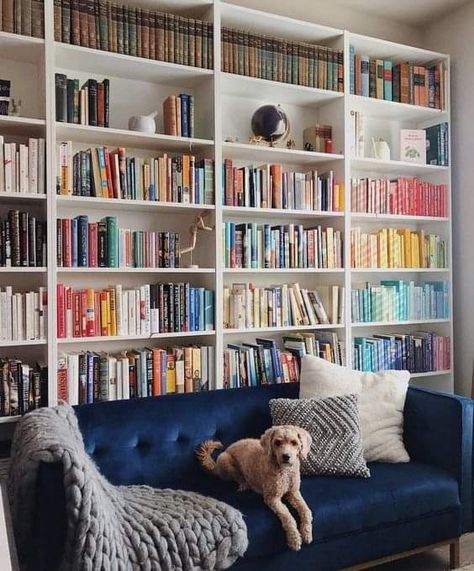 Bookcase Behind Sofa, Library At Home, Behind Sofa, Lounge Room Styling, Home Office Shelves, My Dreams Come True, Room Bookshelf, Library Bookshelves, Kids Bedroom Inspiration