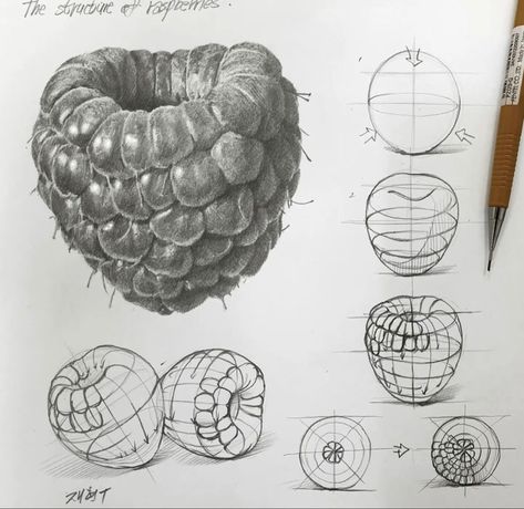 Organic Objects Drawing, Structures Art Gcse, Shape Drawings Art, Structure Art Gcse, Drawing Raspberry, Shapes Drawing Art, How To Draw Strawberry, Food Drawings Easy, Structures Drawing