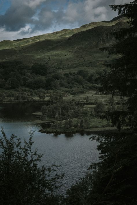 Once There Were Wolves, Witch Woods, Scottish Forest, Dark Academia Aesthetics, Dream Forest, Scotland Photography, Scotland Elopement, Pictures Of Beautiful Places, Castles To Visit