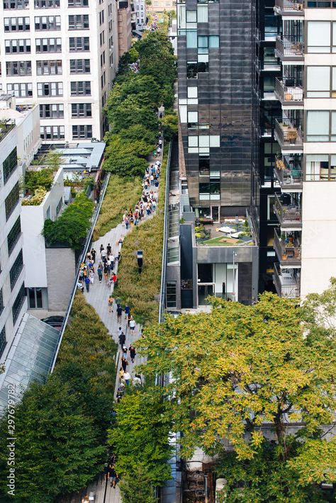 The New York High Line urban park aerial view, tourists walking, surrounded by tall buildings Stock Photo | Adobe Stock Ny High Line, The Highline New York, High Line Park New York, The High Line New York, The Highline Nyc, New York Highline, High Line Ny, The High Line Nyc, Architecture Girl