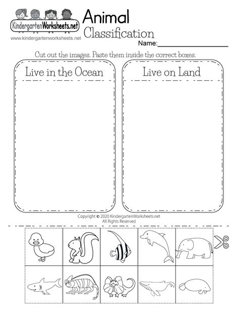 Animal Classification Worksheet for Kindergarten - Life Science Life Science Kindergarten, Animal Science Kindergarten, Animals That Live On Land, Sorting Animals Worksheet, Free Science Worksheets For Kindergarten, Kg Science Worksheet, Animal Habitat Sorting Free Printable, Kindergarten Science Worksheets Free Printable, Kindergarten Science Animals