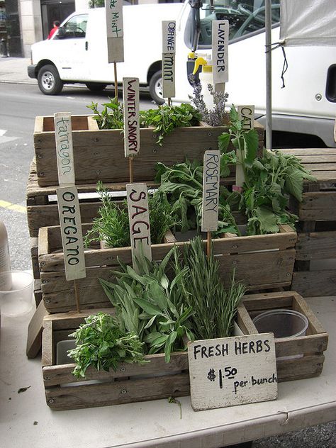 A display of herbs for scenting he air from running hands over them. www.PeachDish.com Fresh Herb Display, Fresh Herb Bundles, Farmers Market Herb Display, Selling Herbs At Farmers Market, Farmers Market Aesthetic Display, Farm Store Display, Farmers Market Plant Display, Farmers Market Display Ideas Farm Stand, Plant Stall Ideas