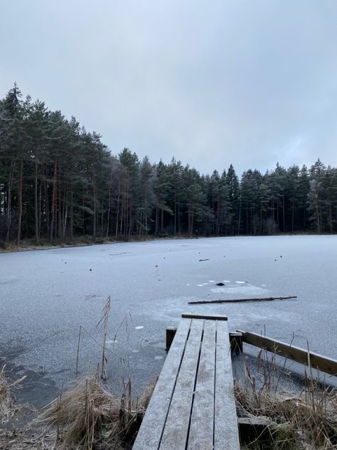 Ice Lake Aesthetic, Winter Lake Aesthetic, Winter Branding, Frost Aesthetic, Snowy Farm, Icy Aesthetic, Grey November, Icy Lake, Moon Lady