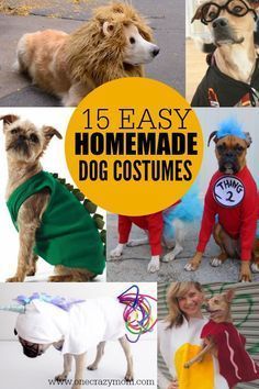 Homemade Dog Costumes, Big Dog Costumes, Dog Costumes Halloween Large, Diy Pet Costumes, Large Dog Costumes, Small Dog Costumes, Diy Dog Costumes, Dog Clothes Diy, Homemade Halloween Costumes