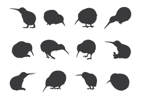 Kiwi Bird Silhouettes Aussie Tattoo, Kiwi Tattoo, Nz Tattoo, Kiwi Birds, Maori Symbols, Vogel Silhouette, Bird Silhouettes, New Zealand Tattoo, Fern Tattoo