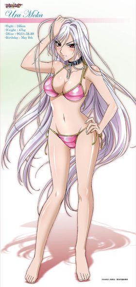 Colletion Moka Akashiya Interna Inner Moka, Rosario Vampire Moka, Moka Akashiya, Rosario Vampire Anime, Rosario Vampire, Dragon Ball Painting, Anime Toon, Vampire Queen, Anime Poses Reference