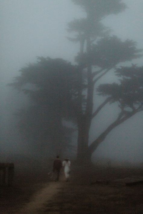 Fog Engagement Photos, Foggy Couple Photoshoot, Cloudy Engagement Pictures, Aesthetic Honey, Farm Couple, Point Reyes California, Fog Photography, Ghost City, Foggy Weather