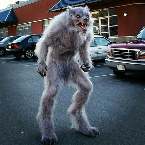 Underworld Evolution, Werewolf Costume, Werewolf Aesthetic, Werewolf Art, Vampires And Werewolves, Creatures Of The Night, Movie Monsters, Arte Fantasy, Halloween Props