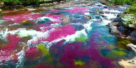 Liquid Rainbow, Rainbow River, Star Wars Planets, Lake Photoshoot, Waterfall Pictures, Paradise On Earth, South America Travel, Beautiful Rainbow, Oh The Places Youll Go