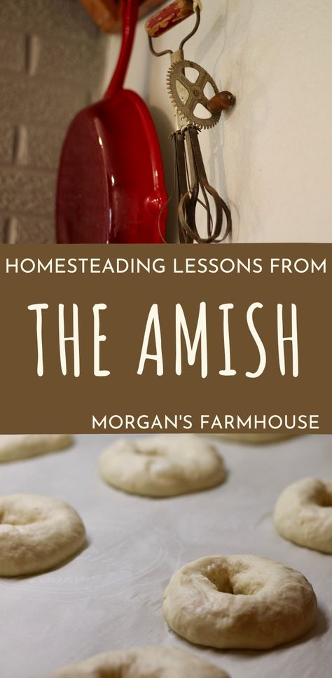 The Amish have this homesteading thing figured out! And they do it all without electricity or Amazon. We should pay attention because we might learn a few homesteading lessons from the Amish. Beginning Homesteading, Amish Homemaking, Amish Skills, Amish Hacks, Suburban Homestead, Homesteading Recipes, Homemaking Skills, Amish Culture, Happy Homemaking