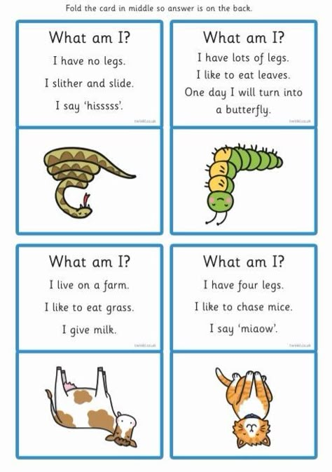 What Animal Am I, Guess The Word Game, Guess The Animal, Esl Games, English Activities For Kids, Fun Classroom Activities, Learning English For Kids, English Games, Speaking Activities