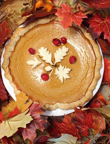 Recipe Index - 2 Cookin' Mamas Eggnog Martini, Lemon Chiffon Cake, Creamy Eggnog, Best Pumpkin Pie, Christmas Recipes Appetizers, Easy Pumpkin Pie, Homemade Pumpkin Pie, Pumpkin Pies, Lemon Chiffon