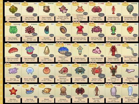 All-round cheat sheet for the ‘new’ sea creatures! 🦀🐚 First slide is for northern/ second is for southern hemisphere. Third shows bubble… Sea Creatures Animal Crossing, Animal Crossing Fish, Acnh Tips, Fish List, Animal Crossing 3ds, Deep Sea Diving, Animal Crossing Guide, Deep Sea Creatures, Animals Crossing