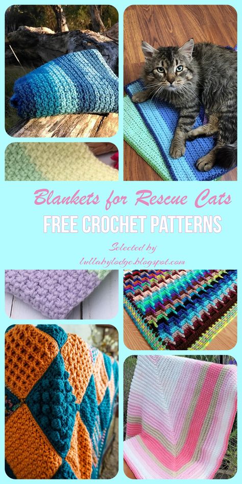 Make a blanket for a rescue cat, free crochet patterns selected by Lullaby Lodge. #crochet #crochetblanket #catblanket #crochetblog #crochetblogger #rescuecats Unique Crochet Patterns, Crochet A Blanket, Make A Blanket, Pet Sweaters, Knit Toys, Crochet Cat Pattern, Cat Blanket, Crochet Blog, Cat Mat