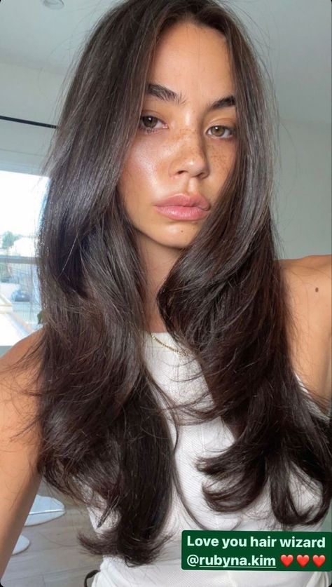 Best Fall Hair Colors, Christina Nadin, Brown Hair Inspiration, Rambut Brunette, Dark Brunette Hair, Brown Hair Looks, Hair Gloss, Brown Hair Inspo, Hairstyles For Layered Hair