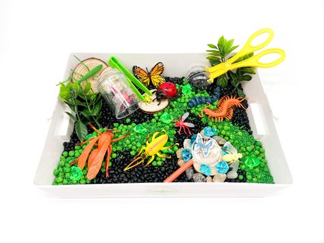 Fun Sensory Bins, Bug Sensory Bin, Farm Sensory Bin, Wedding Kit, Pre Wrap, Sensory Table, Open Ended Play, Sensory Bin, Language Development