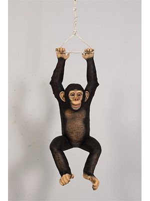 Fiberglass Hanging Monkey! Fun for indoor or outdoor use! Black Tip Shark, Monkey Statue, Hanging Monkey, Silverback Gorilla, Adventure Golf, Life Size Statues, Whimsical Home, Safari Jungle, Jolly Roger