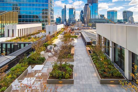 Housing Landscape, Rooftop Planters, Roof Landscape, Medieval Church, Terrace Building, Galleries Architecture, Roof Garden Design, Roof Gardens, Rooftop Terrace Design