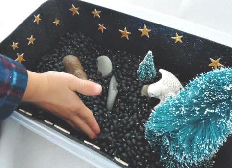 Animals Sensory Bin, Black Beluga Lentils, October Lesson Plans, October Lessons, Sensory Bin Play, Preschool Sensory, Darkness Falls, Sensory Table, Nocturnal Animals