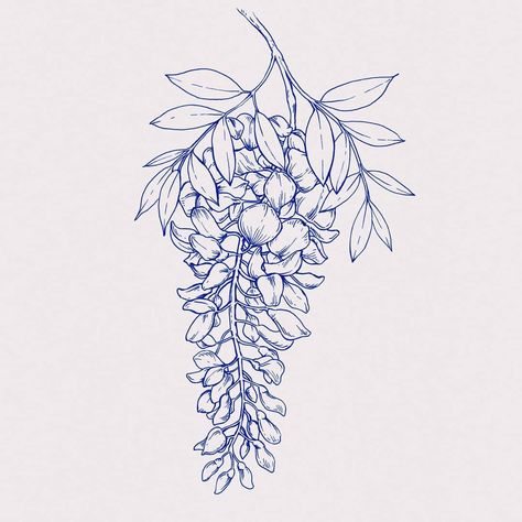 Wisteria 🌷🌱🌾 Wisteria Tree Drawing, Wisteria Flower Drawing, Japanese Wisteria Tree, Wisteria Illustration, Wisteria Drawing, Wisteria Tattoo, Charcoal Drawing Tutorial, Japanese Wisteria, Illustration Art Prints