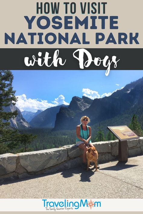 Can you take a dog to Yosemite? Yes, you can! Here’s how how to safely visit Yosemite with dogs, including dos and don’ts and a list of where dogs are NOT welcome inside the national park. Find out when Yosemite Hospitality operates a dog kennel in Yosemite Valley, what happens when you spot natural wildlife, pet-friendly lodging and details for how to make a reservation to visit Yosemite. (photo credit: Mimi Slawoff) Giant Sequoia Trees, Merced River, Yosemite Falls, Sequoia National Park, Yosemite Valley, Family Travel Destinations, National Parks Trip, Us National Parks, Cruise Travel