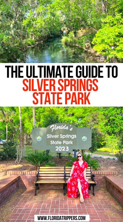 The Ultimate Guide to Silver Springs State Park Silver Springs State Park Florida, Silver Springs Florida, Springs In Florida, Places To Visit In Florida, West Virginia Travel, Travel Florida, Florida Travel Guide, Southern Travel, Florida Springs