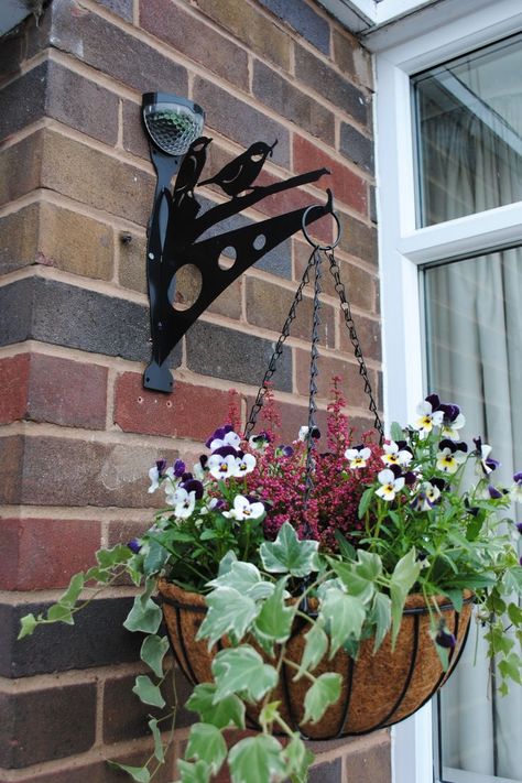 Winter Hanging Basket- hardy plants for winter. Flory's online. Solar light hanging basket. Garden Art. Garden light. Winter Hanging Baskets, Winter Container Gardening, Basket Arrangement, Winter Plants, Online Blog, Too Cold, Hardy Plants, Hanging Basket, Back To Life