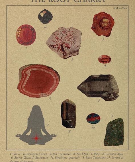 VELVET REPRISE 🍒 on Instagram: “idk what to call this but i want it” Spiritual Crystals, Old Images, Stock Art, Art Collage Wall, Root Chakra, Spiritual Art, Book Of Shadows, Wall Collage, Crystals And Gemstones