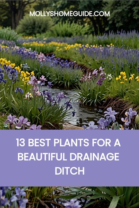 Transform your drainage ditch with these landscaping ideas that you didn't know about! Discover the best plants for a drainage ditch to add curb appeal to your front yard. Whether you have a wet yard or need a dry creek bed solution, these ground cover options and rocks will make your DIY drainage ditch look good. Explore our tips for turning that drainage trench into a beautiful landscape feature that enhances the overall look of your property. Dry Creek Plants, Drainage Easement Landscaping, Backyard Drainage Ideas Landscaping, Landscape Drainage Ditch, Plants For Drainage Ditch, Plants For Dry Creek Bed, Plants For Ditches, Drainage Ditch Landscaping Ideas, Ditch Planting