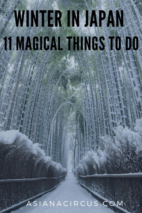 Winter in Japan: 11 Magical Things to do Things To Do During Winter, Tokyo Things To Do, Tokyo Winter, December Travel, Sakura Season, Winter In Japan, Japan Winter, Land Of The Rising Sun, Japan Holidays