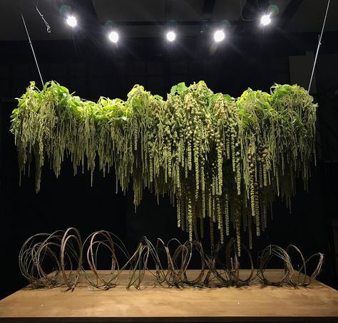 Amaranthus Hanging Installation, Amaranthus Installation, Greens For Flower Arrangements, Hanging Candles From Ceiling, Green Amaranthus Wedding, Hanging Amaranthus Installation, Fern Installation, Foliage Arrangements Wedding, Green Amaranthus Bouquet