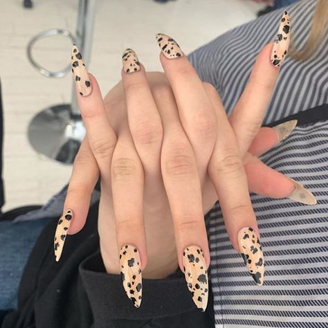 It’s Dalmatian jasper Nails 🖤🖤🖤 for @lou_dallas 🖤🖤🖤 #nailsbymei #handpainted @tiajonsson 💕 Nail Art Mariage, Nail Design Glitter, Animal Print Nails Art, Cow Nails, Nagellack Trends, January Nails, Print Nails, Animal Print Nails, Fire Nails