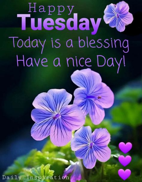 Tuesday Afternoon Blessings, Tuesday Quotes Good Morning, Terrific Tuesday, Tuesday Blessings, Morning Tuesday, Week Quotes, Happy Tuesday Quotes, Good Morning Tuesday, Good Morning Happy Sunday