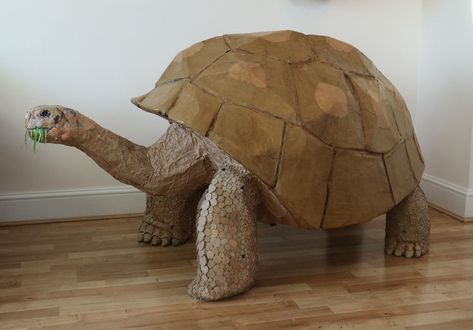 Cardboard Turtle, Cardboard Animal Head, Cardboard Animals, Galapagos Tortoise, Turtle Sculpture, Cardboard Sculpture, Recycled Cardboard, Turtle Art, Cardboard Art