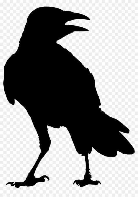 Crow Clipart, Raven Silhouette, Crow Images, Crow Silhouette, Raven Artwork, Vogel Silhouette, Idee Cricut, Arte Punk, A Crow