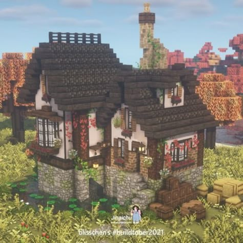 Birch Cottage Minecraft, Birch Minecraft House, Minecraft Birch House Ideas, Birch House Minecraft, Minecraft Birch House, Meh Aesthetic, Mc House, Mind Craft, Cottage Minecraft