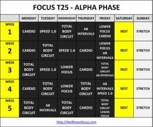 Download or Print the Focus T25 Workout Calendars T25 Calendar, T25 Workout Schedule, T25 Workout, Train For A 5k, Run A 5k, Focus T25, Excel Sheet, 5k Race, 5k Training