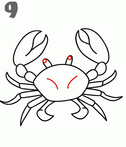 howtodrawacrab.gif (417×485) Crab Art, Easy Drawing Tutorial, Drawing Tutorial Easy, Easy Drawing, Drawing Lessons, Fish Art, Elementary Art, Stained Glass Art, Stone Art