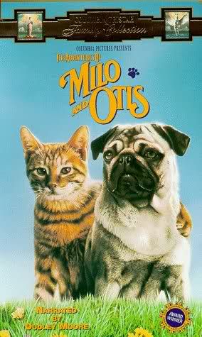 Milo and Otis - I can't count the number of times I watched this with my grandchildren! Milo And Otis, Dog Movies, Tom Y Jerry, Austin Powers, Movies Worth Watching, Best Love Stories, Childhood Movies, Kids' Movies, Fav Movies