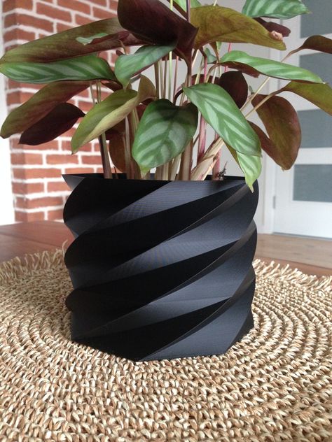 COOL 3D PRINT POT BY US Flower 3d, Cool 3d, 3d Print, 3d Art, Bulgaria, 3d Printing, Flowers, Art