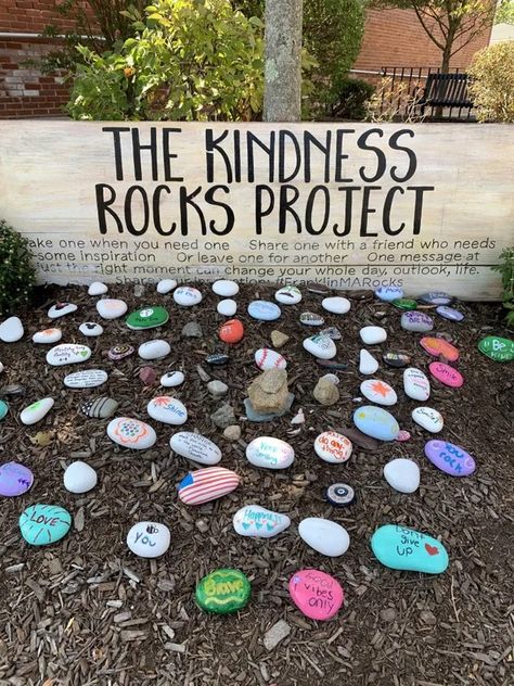 Franklin Kindness Rocks Garden finds new life Preschool Rock Garden, Inspirational Rock Garden, Peace Garden Ideas School, Kindness Rock Garden School, Community Rock Garden, Kindness Garden Rocks, Kindness Rocks Garden, Garden Club Ideas For Kids, Rock Painting For Garden