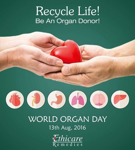 World organ donation day! Donation Poster Design, Organ Donation Quotes, Organ Donation Poster, World Organ Donation Day, Donation Poster, Donation Quotes, Blood Donation Posters, Funny Animal Images, Mechanical Engineering Design