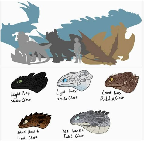 Httyd Custom Dragons, Httyd Custom Species, How To Train Your Dragon Oc Night Fury, Httyd Fury Species, Httyd Light Fury Redesign, Httyd Fan Made Dragon Species, Night Fury Species, Toothless Redesign, How To Train Your Dragon Oc Dragon