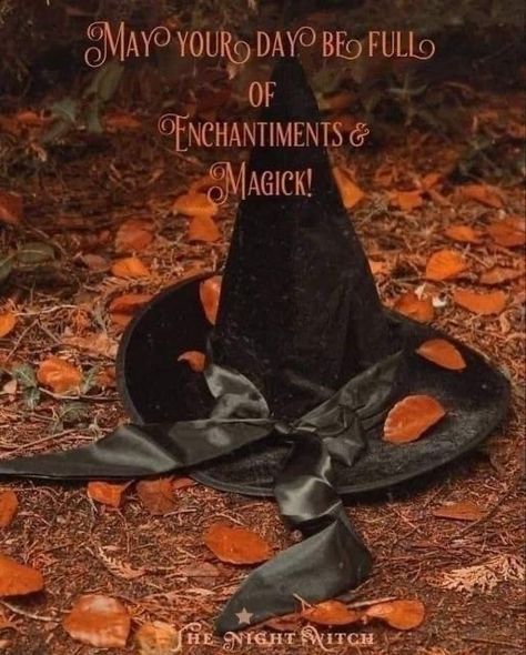 Autumn Witch Aesthetic, Happy Halloween Gif, Welcome October, Night Witches, Autumn Witch, Witch Pictures, Witch Quotes, Witches Hat, Autumn Magic