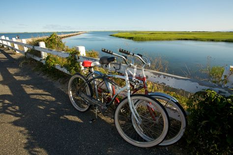 Cape Cod Rail, Popular with bikers, roller bladers and horseback riders, this 22-mile paved trail is a breezy ride through the Lower Cape's diverse ecosystems. Previously known as the Old Colony Railroad corridor, the Cape Cod Rail Trail is considered one of the best bike trails in New England. Cape Cod Rail Trail, Beach Travel Destinations, British Beer, Bicycle Trail, Best Bike, Horseback Rider, Bike Trips, Beach Travel, Bike Trails