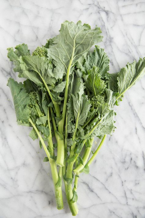 What's the Difference Between Broccoli, Broccolini, Broccoli Rabe, and Chinese Broccoli? — Vegetable Intelligence Broccoli Raab, Negative Calorie Foods, Broccoli Vegetable, Chinese Broccoli, Winter Veggies, Ketogenic Meal Plan, Broccoli Rabe, How To Eat Less, Ketogenic Recipes