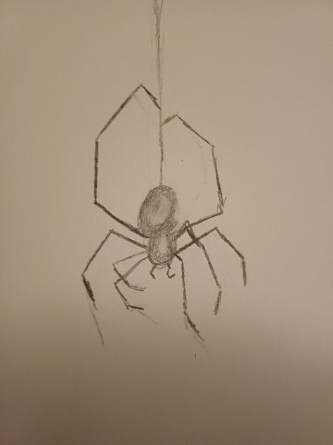 Draw idea spider Big Spider Drawing, Spooky Spider Drawing, Spider Anatomy Drawing, How To Draw A Spider Step By Step, Hanging Spider Drawing, Spider Sketch Easy, Spider Drawing Reference, How To Draw A Spider, Spider Anatomy