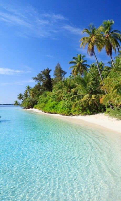 5 Warm-Weather Destinations Where No One Will Find You Winter Sets, Tropical Getaways, Beaches In The World, Vacation Places, Find You, South Pacific, Holiday Destinations, Vacation Destinations, Dream Vacations